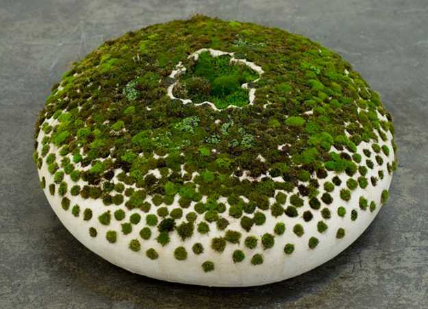 Fantastic Ceramic and Moss Art Inspired by Japanese Rock 