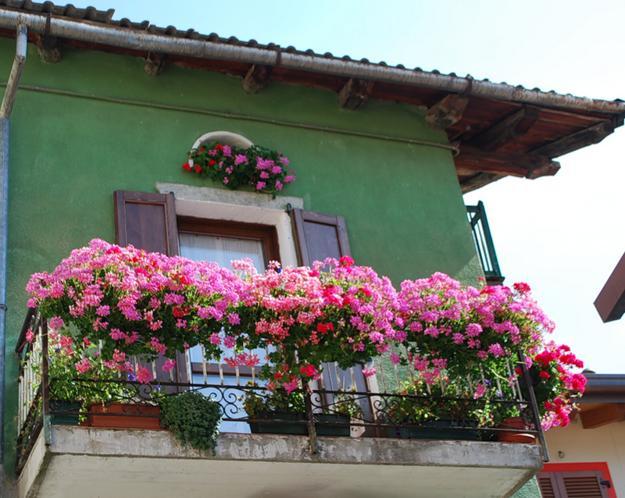 balcony flowers decorating lushome charming outdoor flores artículo