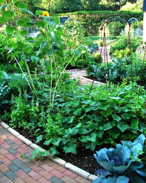 brick garden paths