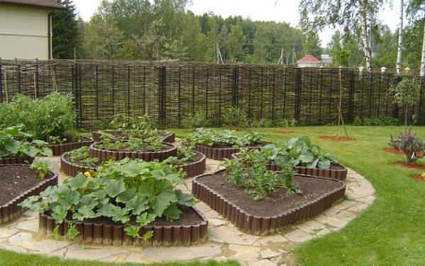 vegetable garden design with free shaped beds
