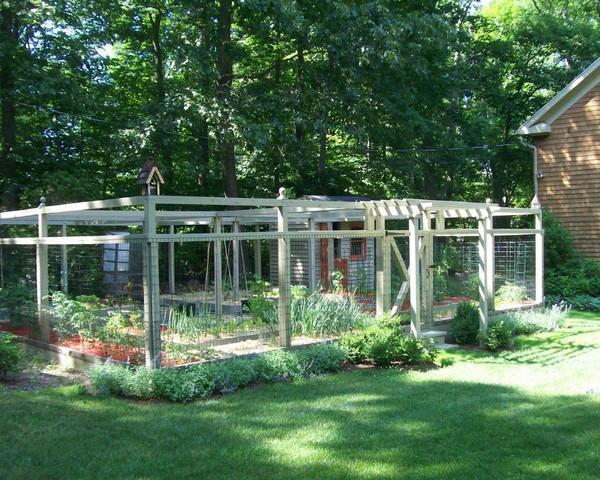 vegetable garden design with sunshade