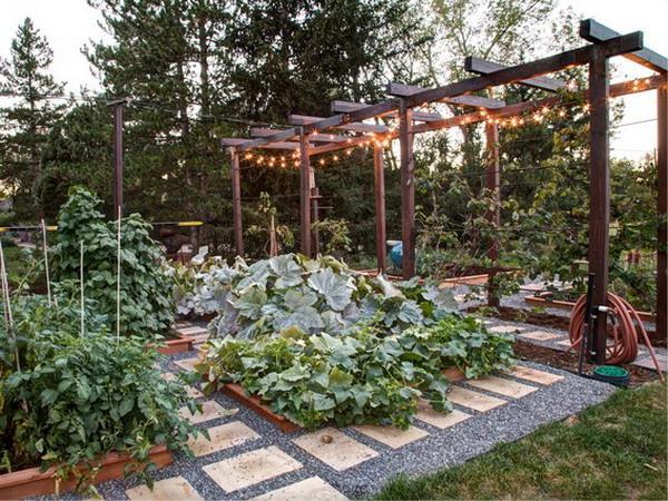garden design with pergola and stone paths