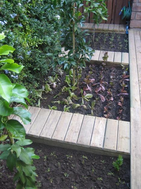vegetable garden with wooden paths
