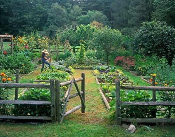 vegetable garden design with wooden fence