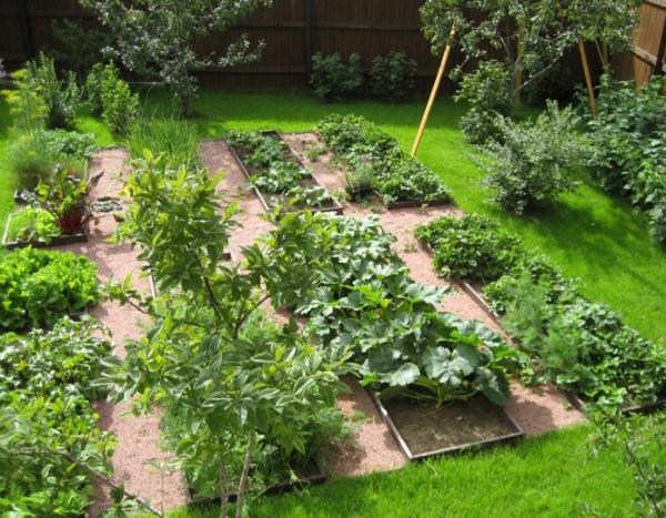 vegetable garden design surrounded by green lawn