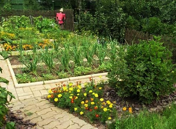 vegetable garden design on sloping hill