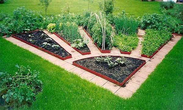 creative garden design