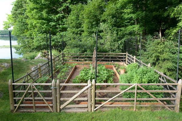 vegetable garden design with log fence