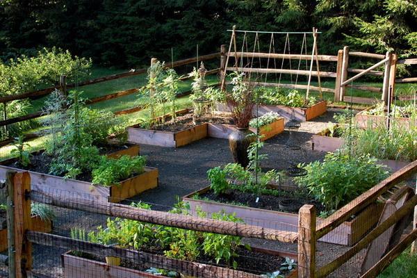 vegetable garden design with wooden fence