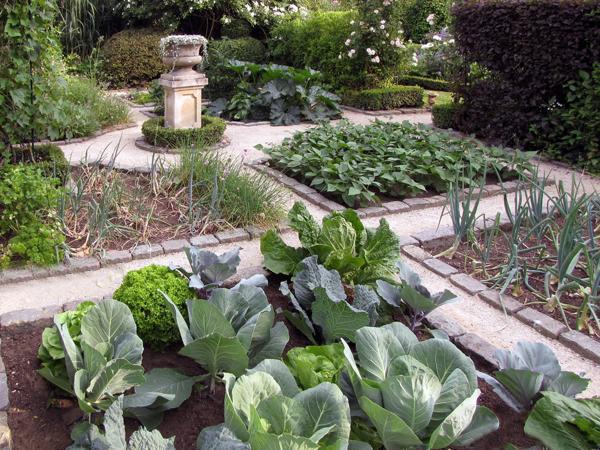 decorative garden and vegetable garden designs
