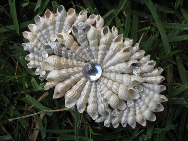 40 Sea Shell Art and Crafts Adding Charming Accents to Interior Decorating