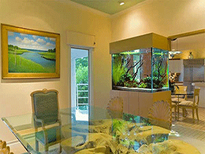 kitchen and dining room aquarium