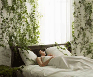 sleeping person in bedroom with plants