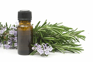 natural oil scents, rosemary branche and flowers