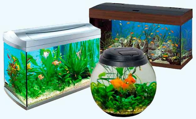 Feng Shui for Room with Aquarium, 25 Interior Decorating Ideas to Feng Shui for Wealth Feng Shui For Room With Aquarium, 25 Interior Decorating Ideas To Feng Shui For Wealth
