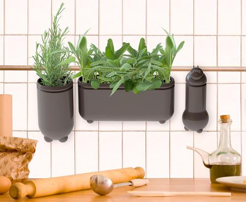 How to Decorate Kitchen  with Green Indoor  Plants  and Save 