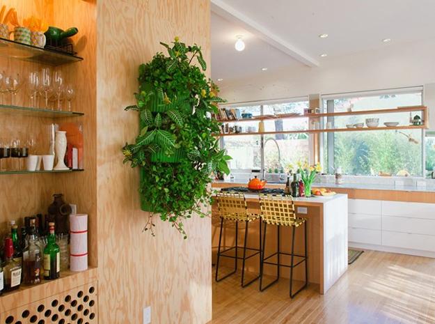 How to Decorate Kitchen with Green Indoor Plants and Save Money