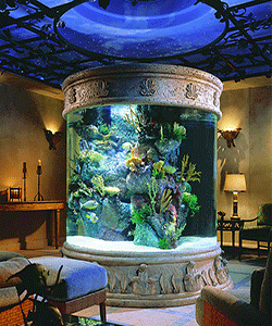 round aquarium tower