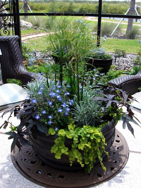 Green Home Decor that Cleans the Air Top Eco Friendly Green Home Decor that Cleans the Air Top Eco Friendly