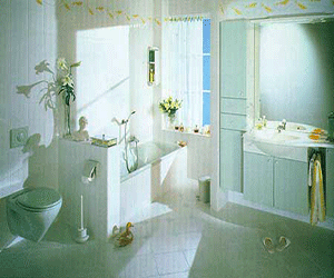 Feng Shui Home, Step 3, Bathroom Decorating Secrets
