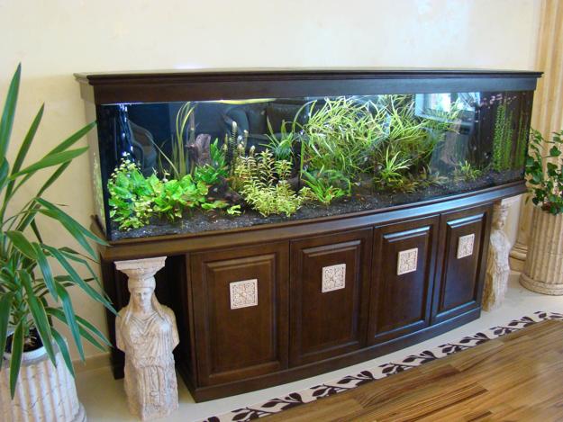 Thinking About Your Room Decor Before Buying Aquarium