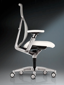 https://www.lushome.com/wp-content/uploads/2010/07/executive-chair-office-ergonomic.gif