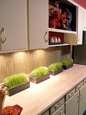 kitchen decorating with brown colors and green indoor plants