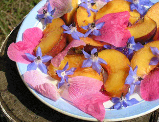 pink roses petals blue decorating food ideas