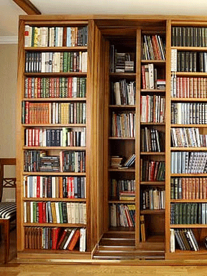 Large Bookcase, Sliding Bookcases and Shelves