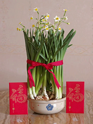3 alternative Chinese New Year decoration ideas for your home