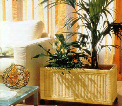 home decorating with indoor plants plant pots