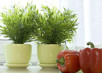 kitchen decorating with edible herbs cooking food