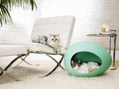 modern design ideas pet cat plastic contemporary