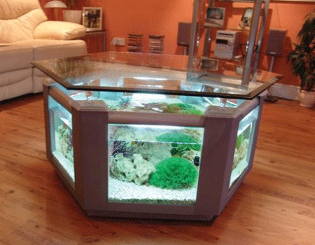 Glass Fish Tank Coffee Table - Fish Tank Tables They Hold Alive Tranquility / It's a glass coffee table fish tank and resembles a column in shape.
