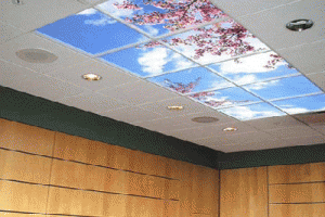 modern wallpapers for interior designs