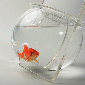 glass aquarium tank clear plastic carry design