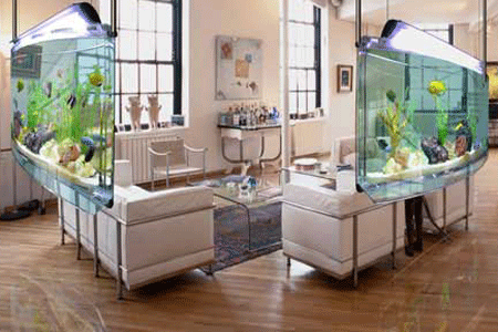 Interior Aquarium Design and Setup Services Jacksonville FL - Blue Sun  Aquatics