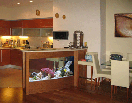 62 Koleksi Aquarium Divider Design Terbaik