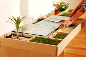 eco friendly modern tables with indoor plants