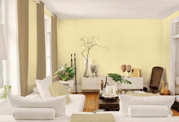 Brown And Cream Interior Color Schemes