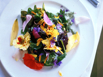 How to Keep Edible Flowers Fresh - This Healthy Table