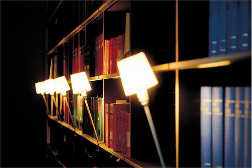 lighting fixtures on bookcases and shelves for modern home library design