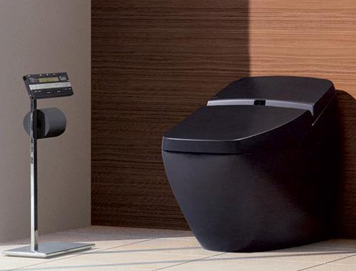 black toilet with a control panel built in toilet paper holder