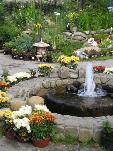 Water Fountains, Front Yard and Backyard Designs