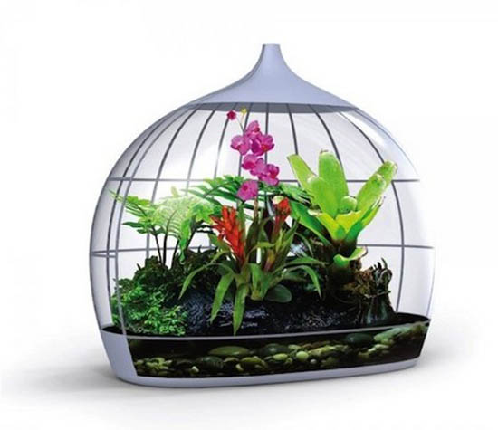 glass terrarium containers for small indoor plants