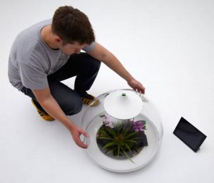 View of Eco Friendly Home Decorations, Biome Smart Terrarium Design Ideas