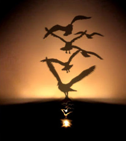 small lamp creating flying birds shadows on a wall