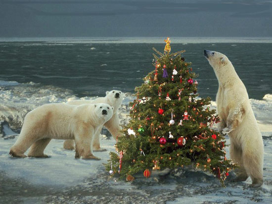 polar bears and christmas tree decorated in traditional style