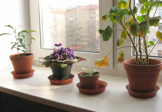 Window Designs, Modern Interior Window Sill Materials and ...