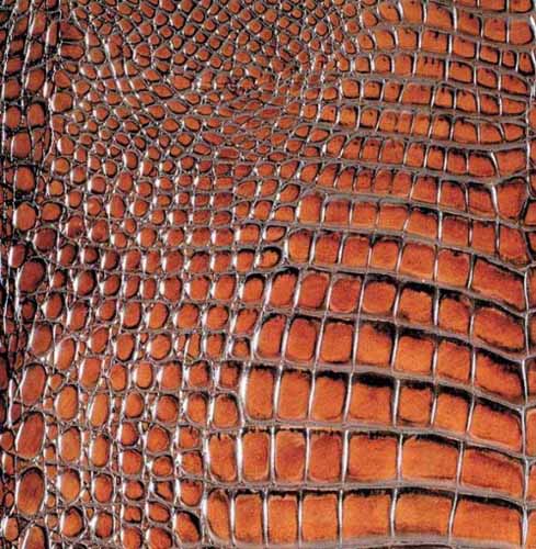 modern tiles that look like animal skin and leather